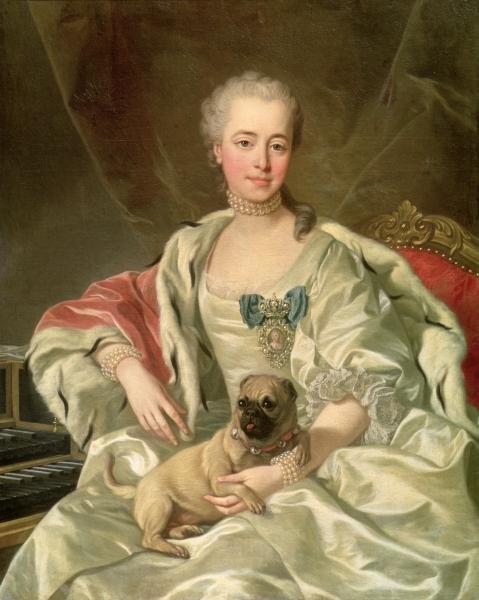 Louis Michel van Loo Portrait of Princess Ekaterina Dmitrievna Golitsyna oil painting image